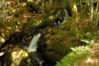 Tobbogan naturel dans le Parc